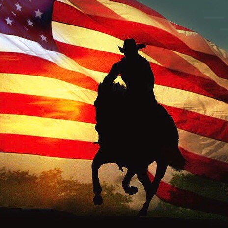 I’m a proud American. I’m sick of Facebook and Twitter.