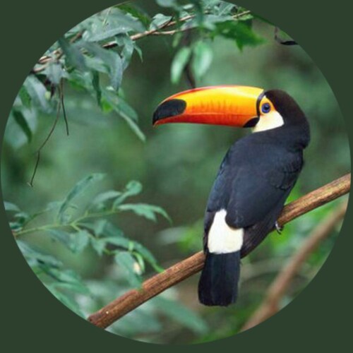 Where you get an honest perspective on all things from politics to entertainment. We’ll be the birdie in your ear that k...