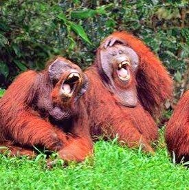 Proud Dad & Grandad, Surveyor. 
Intense Distrust Of Politicians. 

Man City. 
Pittsburgh Steelers
Tennis.