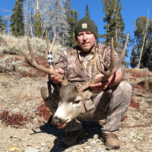 Conservative blue collar worker that luvs his country!