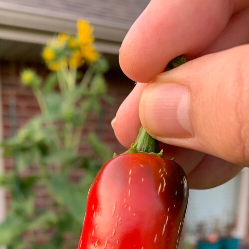 Honest takes without regard to feelings.