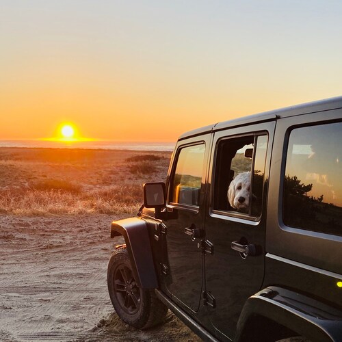 🇺🇸Blue eyes💙🍊🍊
Hey GOP be Leaders not Cheerleaders! Get off SM and do something.