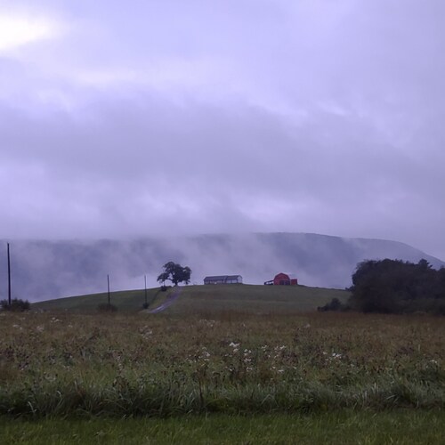 This is the strangest life I've ever seen