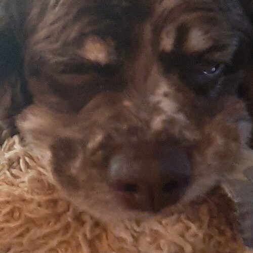 Visit SirHoward's profile on GETTR. View their posts, photos, videos, and connect with them on the social platform.