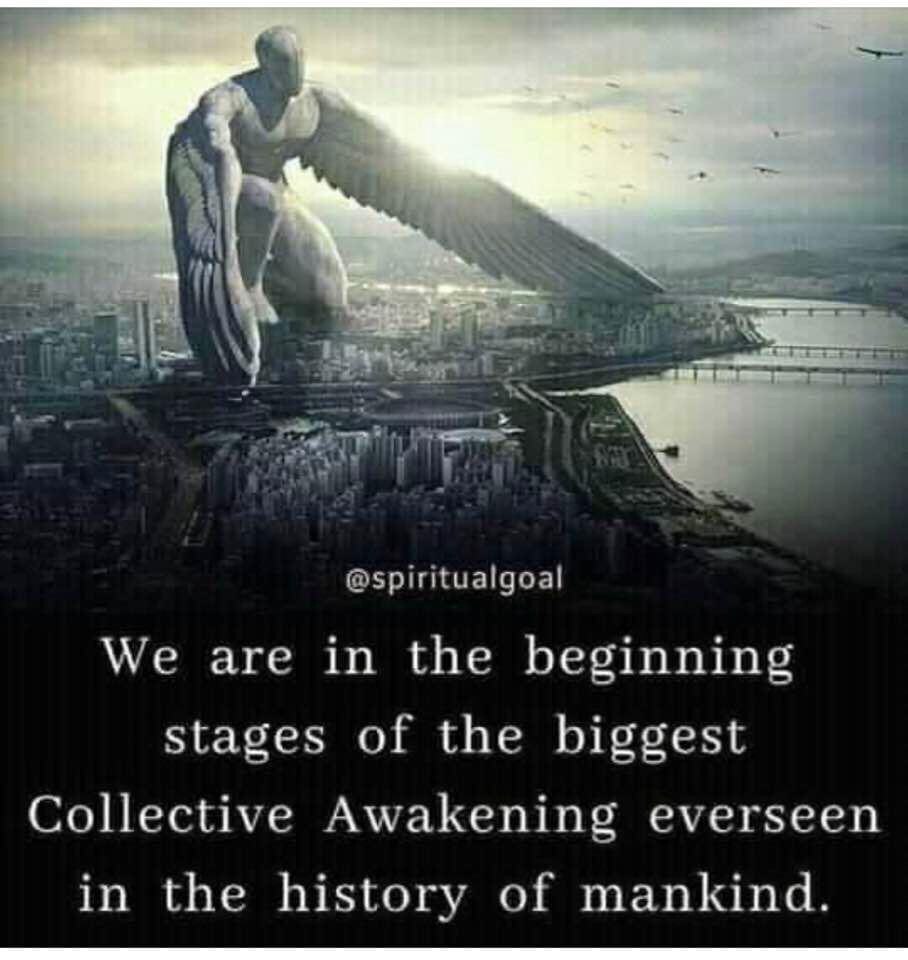 I truly believe this