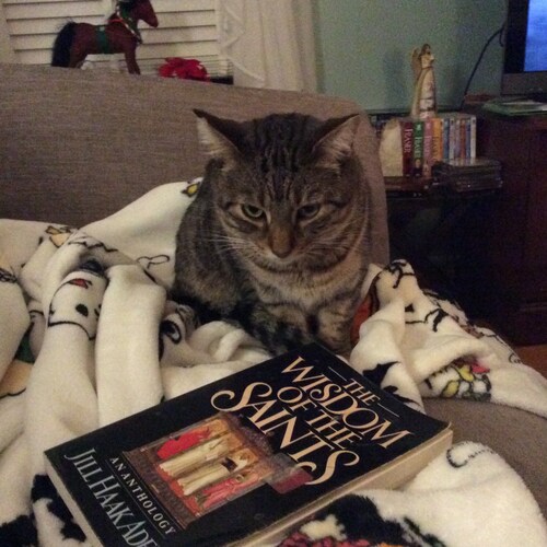 young at ❤️ old lady. lover of USA .