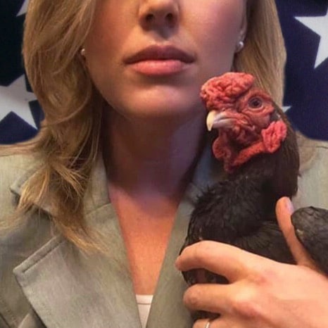 “The chickens are coming to roost.” Conservative leaning, yet open-minded to both sides of the “story”. God/Love, libert...