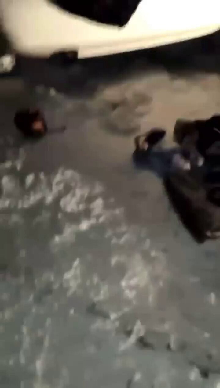 视频拍摄者在路上发现一车人被杀害…他一个个去看是否还有活着的人，但视频尽头又响起枪声，不知道拍摄人员怎么样了。女性的尖叫最后停止了…多么的恐怖战争这么残酷！！五毛们还叫嚣着开战，送死的第一个就是你们！...