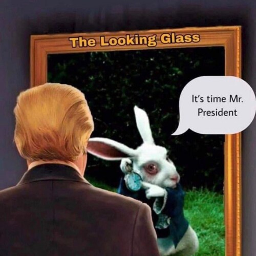 God 1st; IFBAP, MAGA, INFP, IAQ2, Gourmand, Conservatarian☦️🙏🏽🌎🇺🇸🕊Pro Clean Air & Protect the innocent (animals & ...