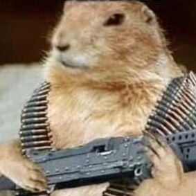 Visit Therage30's profile on GETTR. View their posts, photos, videos, and connect with them on the social platform.