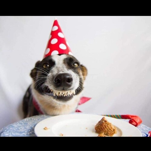 Visit Rattery's profile on GETTR. View their posts, photos, videos, and connect with them on the social platform.