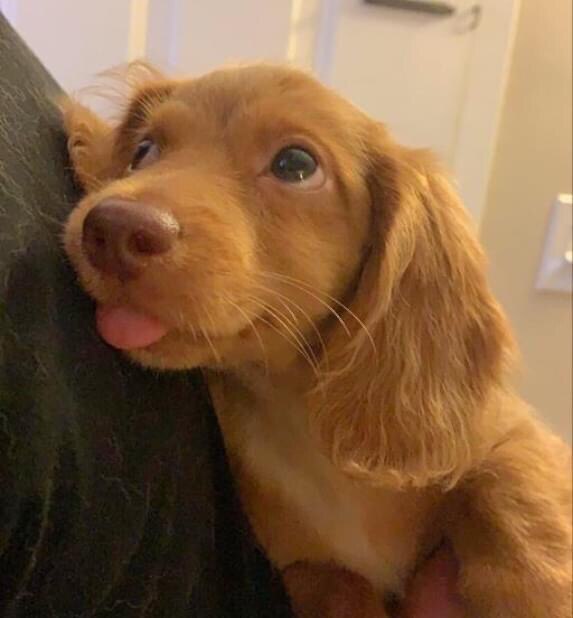 Good morning. Have a wonderful day. ☀️😊 

