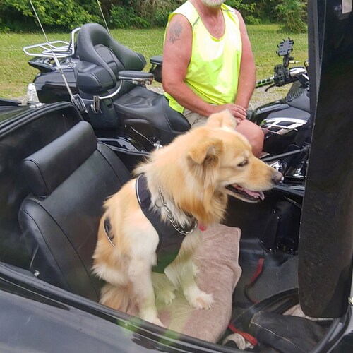 ecclesiates 3 there is a time and season for everything under heaven.NOW IS THE TIME FOLKS