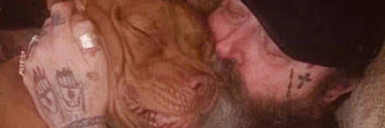 Willie ( GYPSY) Valiant βοΈπ