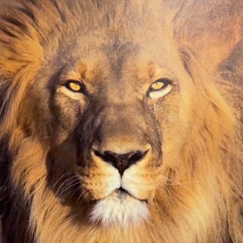 Visit 🇺🇸Integrity789🇺🇸's profile on GETTR. View their posts, photos, videos, and connect with them on the social platform.