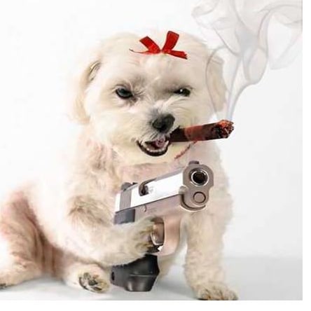 Visit sailnscuba's profile on GETTR. View their posts, photos, videos, and connect with them on the social platform.