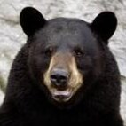 Patriot, Conservative, Entrepreneur, American

FAITH, FAMILY, FREEDOM and FREEMARKETS!