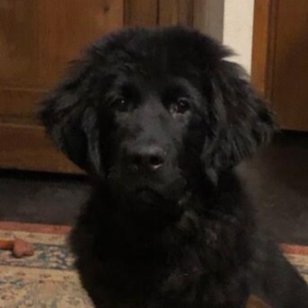 Patriot, hate censorship and proud member of the LGBFJB community.  Proud daughter of Army vet  Love our vets and BackTh...