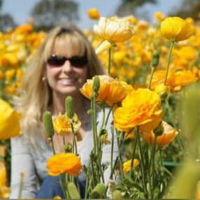 -CONSTITUTIONAL CONSERVATIVE
-CA refugee.
-Proud daughter of WWII Veteran.
-Pray for America. ✝️🛐🇺🇲