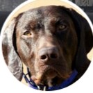 Cyber With Kinetic Combat Veteran