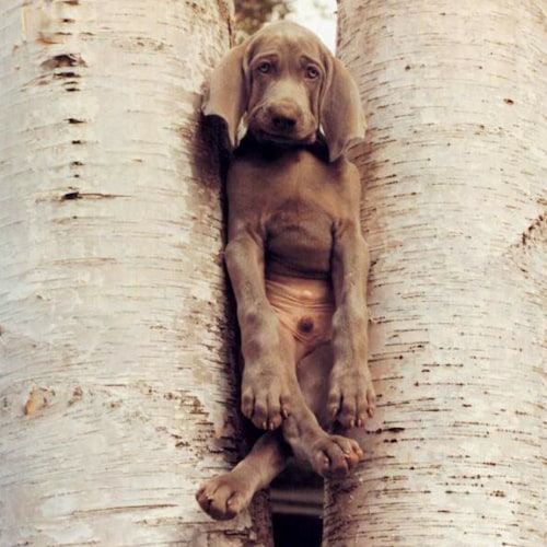 Visit 🇺🇸MoAn2016🇺🇸's profile on GETTR. View their posts, photos, videos, and connect with them on the social platform.