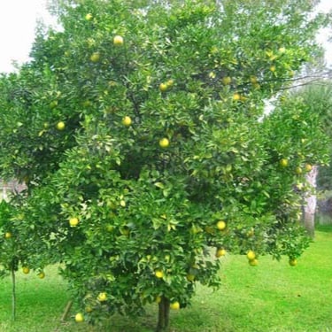 Visit WeLoveUSA1 🇺🇸's profile on GETTR. View their posts, photos, videos, and connect with them on the social platform.