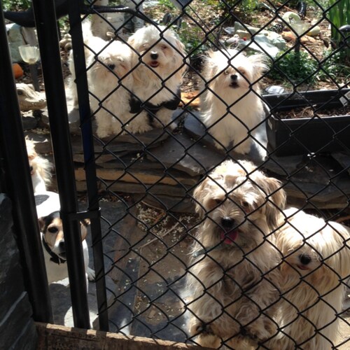 1/2 15 minute cities and farmer land grabs. 
#wefagenda2030 #15minutecities #farmersprotest #farmerl...