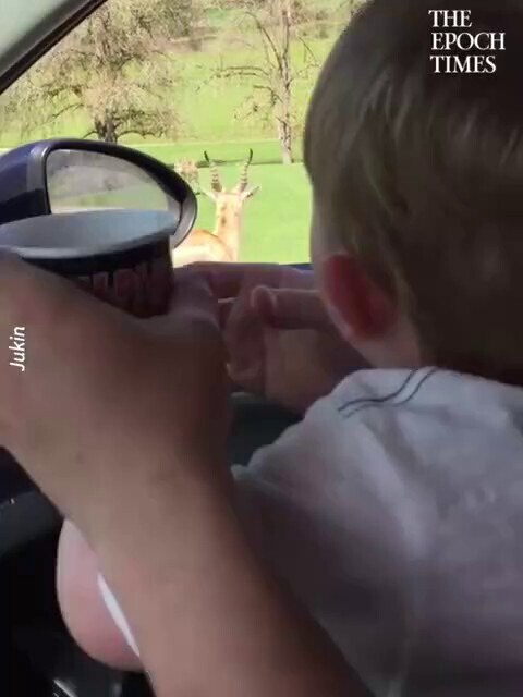 Baby Laughs Uncontrollably At Ostrich
Nothing is sweeter than a baby laugh. 😇

👍Follow @EpochBrigh...