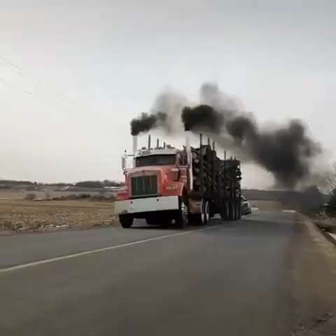 What a amazing 

#truck #truckersforfreedom #truckersforfreedom2022 #chiefinjustice  #desantisdestro...