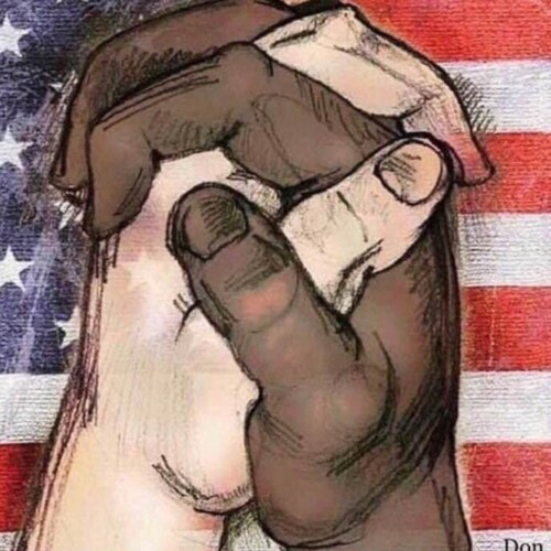 Visit American's profile on GETTR. View their posts, photos, videos, and connect with them on the social platform.