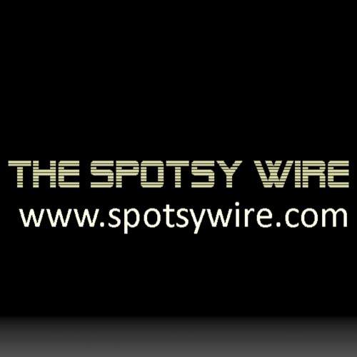 News & Opinion on issues and events in Spotsylvania County. We shine the light on local issues that other media outlets ...