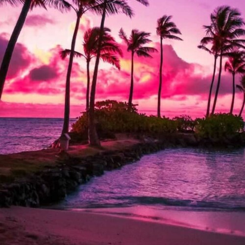 Visit Patricia Rosenkranz's profile on GETTR. View their posts, photos, videos, and connect with them on the social platform.