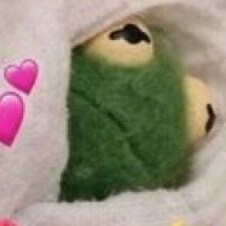 flaming jewish transgender homosexual 🥰