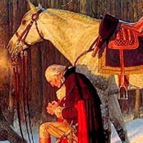 Wife, Mother, Grandmother, Christian ✝️, Constitution 🇺🇸