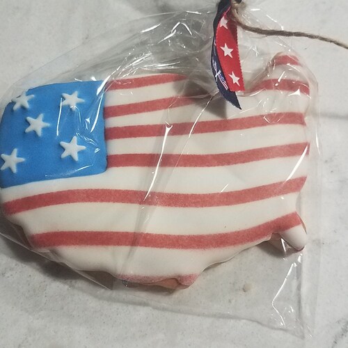 American Patriot 🇺🇸