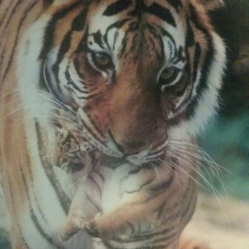 Visit Darlene_Y's profile on GETTR. View their posts, photos, videos, and connect with them on the social platform.