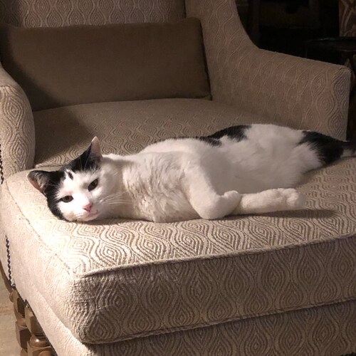 Visit christinagr8's profile on GETTR. View their posts, photos, videos, and connect with them on the social platform.