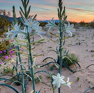 Holy Spirit filled, Jesus is King 👑 ♥️🇺🇸✝️🎗🛡🔥