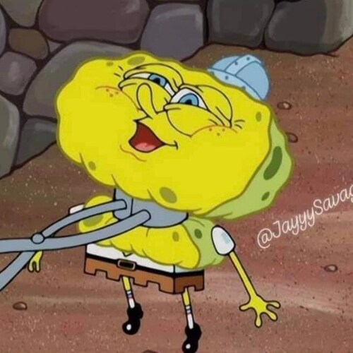 100 followers for rib reveal so regeet 