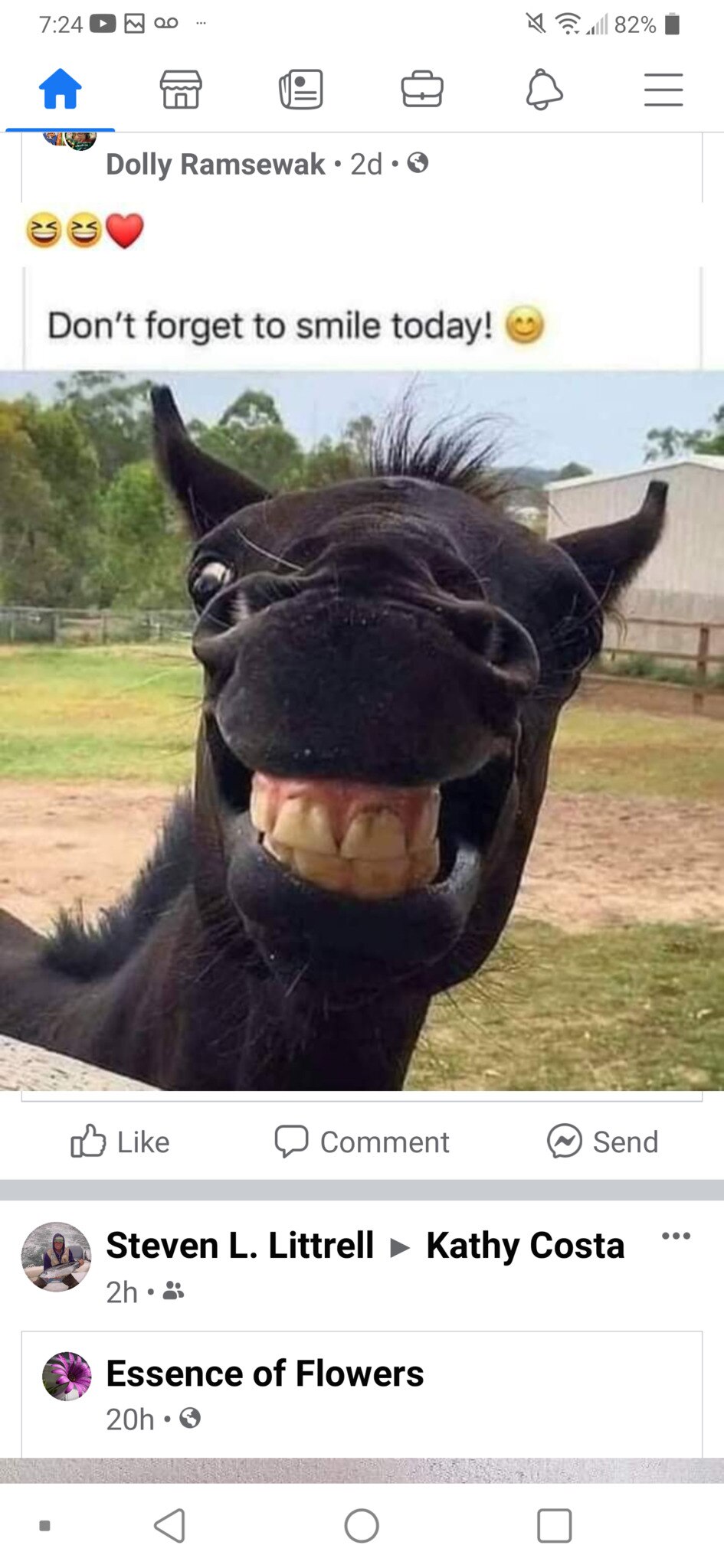 View Simbidium's post on GETTR. Join the discussion, share your thoughts, and connect with the community.