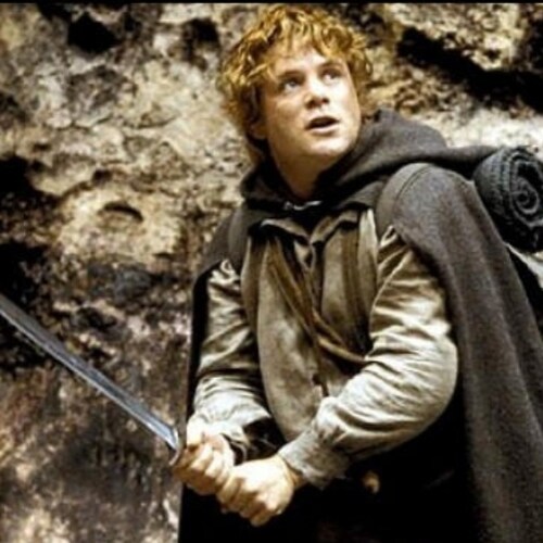 Visit samwisethebrave's profile on GETTR. View their posts, photos, videos, and connect with them on the social platform.