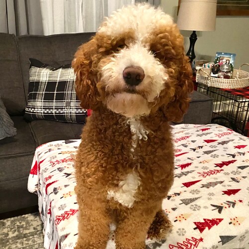 Yep, it’s just me 💁🏼‍♀️