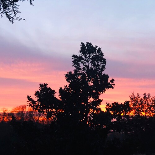 Visit Deplorablessed's profile on GETTR. View their posts, photos, videos, and connect with them on the social platform.