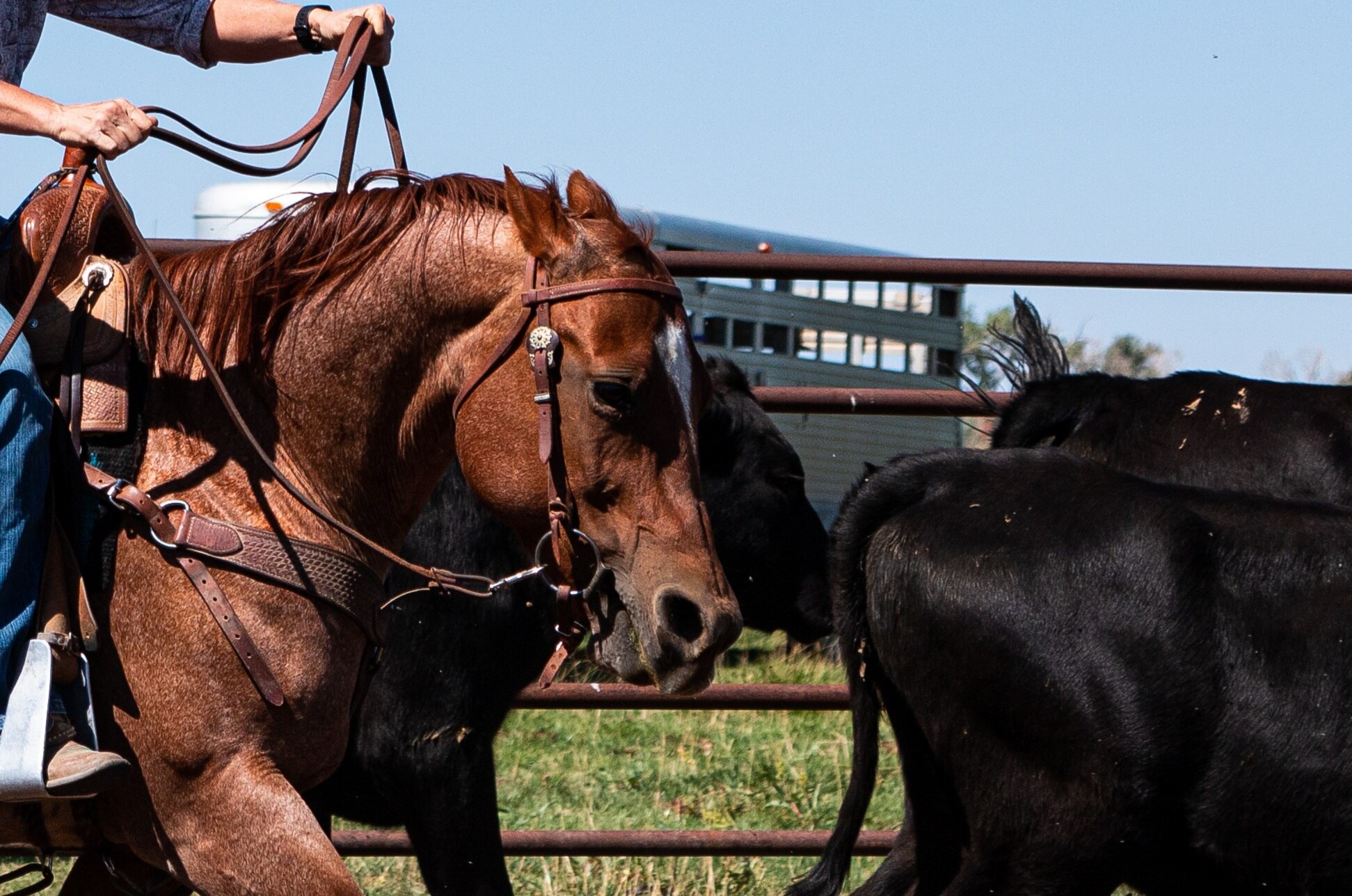 I've been on here for a while but haven't posted yet.  Figured I'd give it a whirl.  One of my favor...