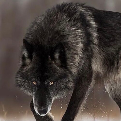 always know your surroundings, open your eyes