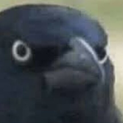 American Made Southern Raised. MAGA party