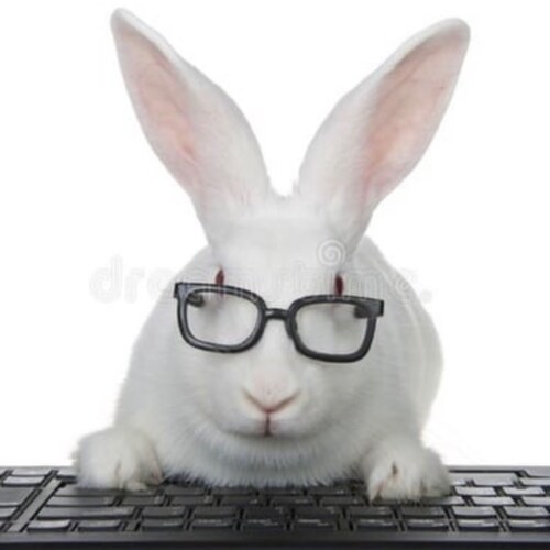 .-- .... . .-. . / .-- . / --. --- / --- -. . / .-- . / --. --- / -... -.-- / .- .-.. .-..