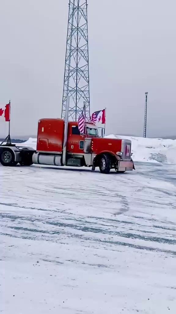 View Lonewolfy 🐺's comment on GETTR. Join the discussion and share your thoughts.