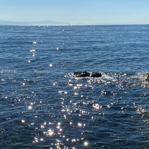 Fighting for Freedom, Democracy and Justice.