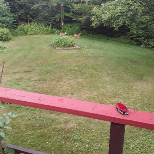 small businessownermilitaryvet